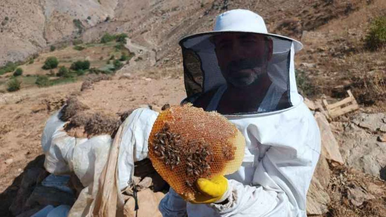 Kilosu 2 bin 500 liradan yok satıyor!