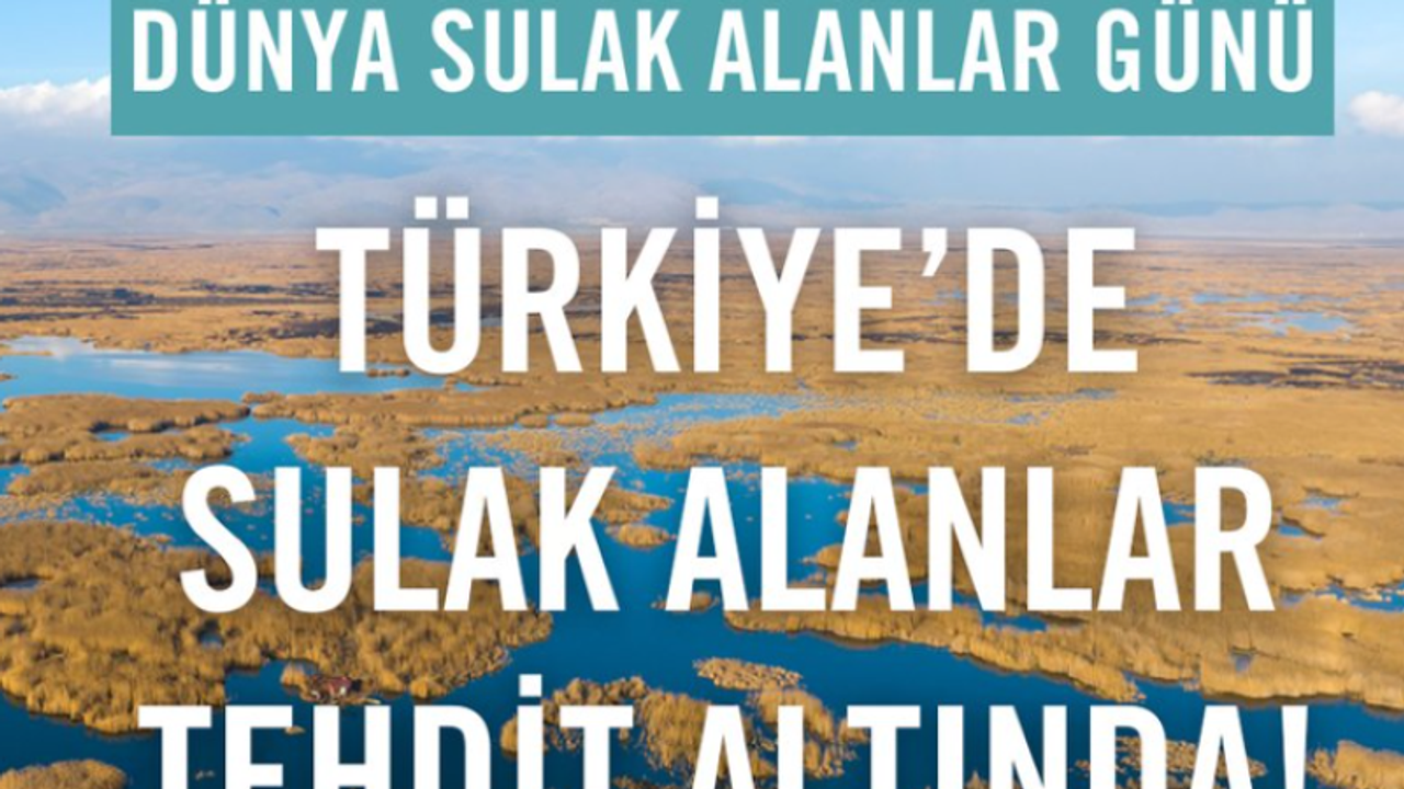 "Türkiye'deki sulak alanlar tehdit altında!"