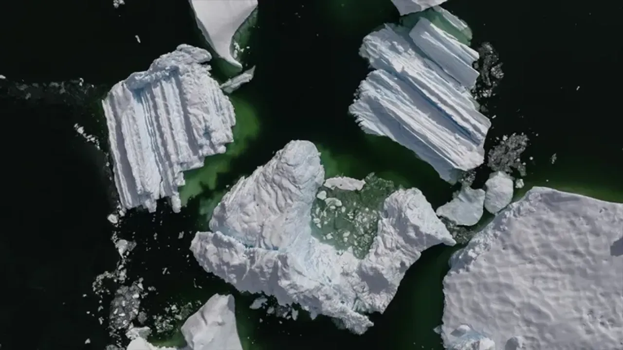 Antarktika'da buzların erimesi nelere sebep oluyor?