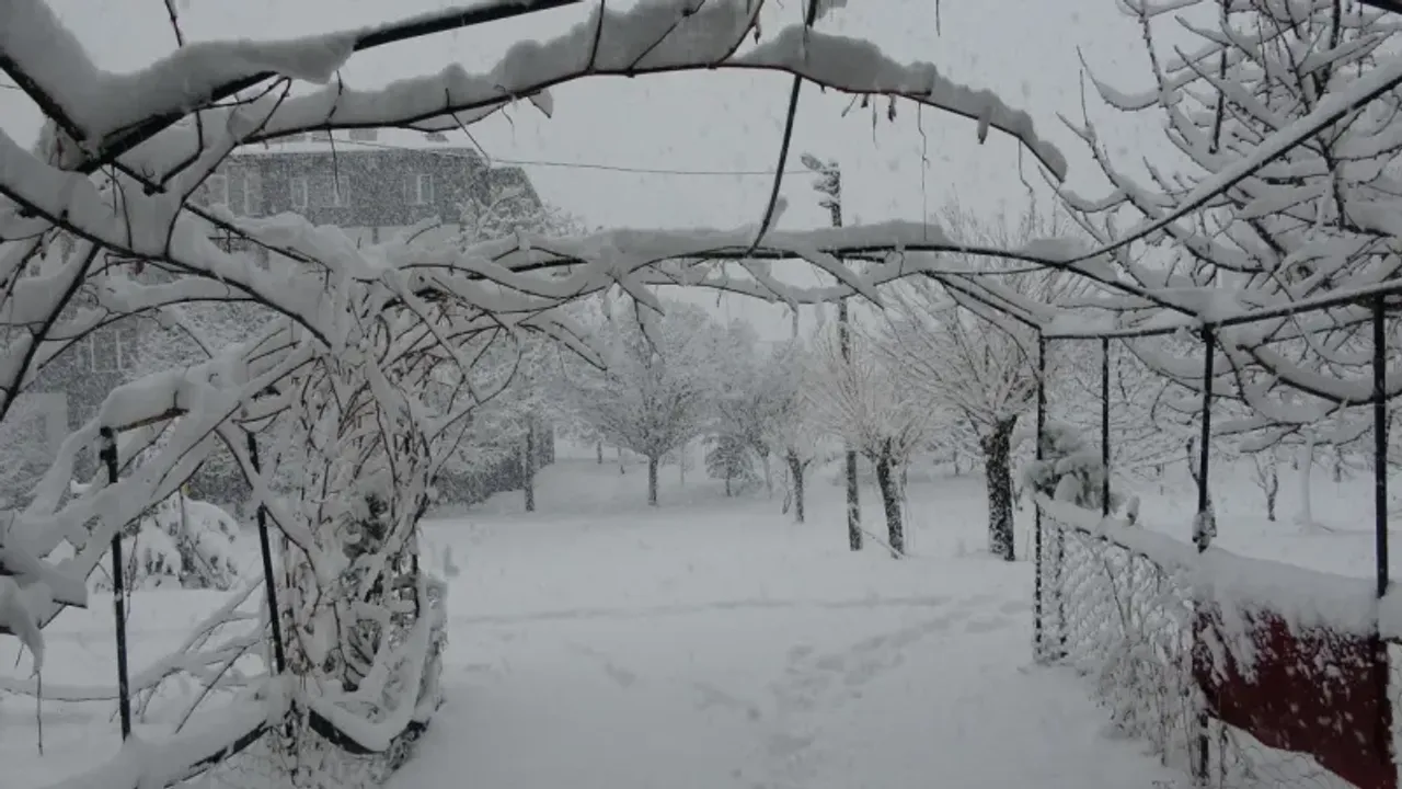 Bitlis'te kar yağışı devam ediyor