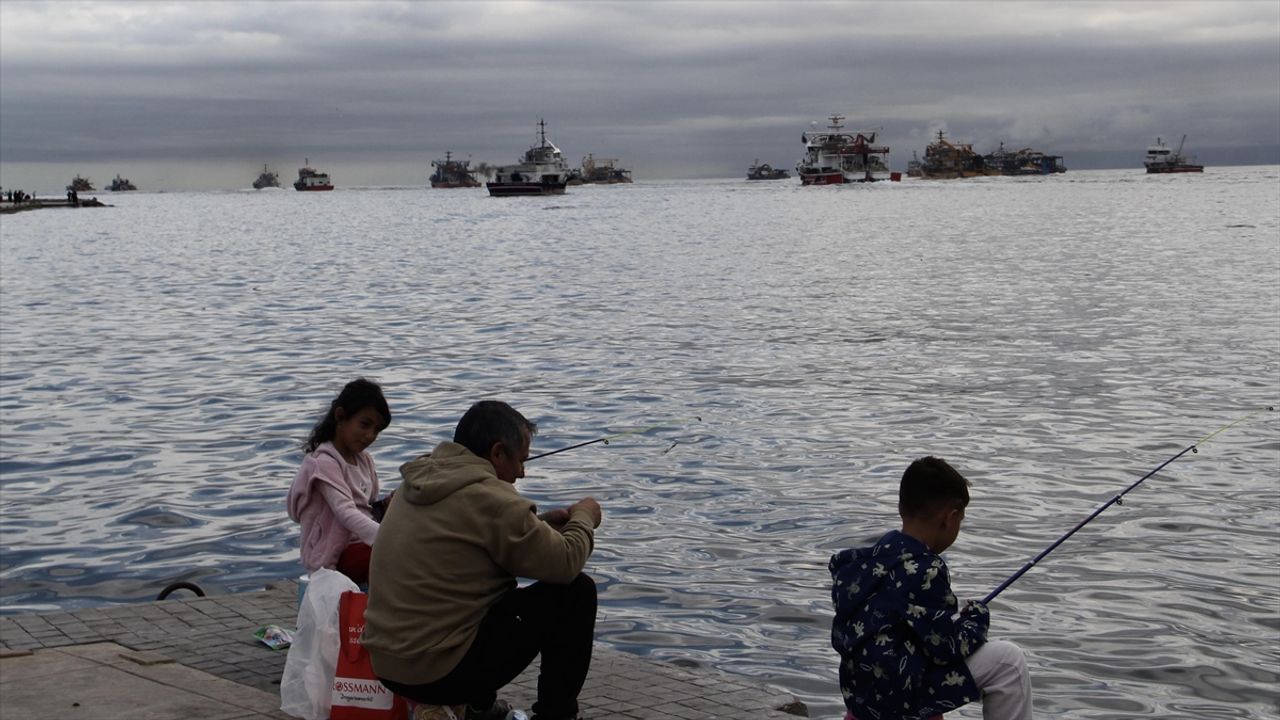 Balıkçıların Karadeniz'deki hamsi avı devam ediyor!
