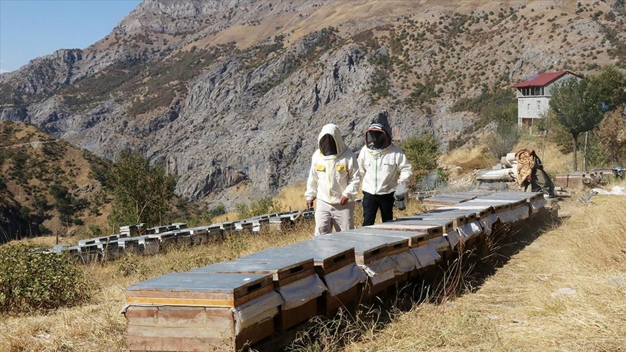 Bitlis’te Yalnız Yaşayan Aile Yılda 2,5 Ton Bal Üretiyor