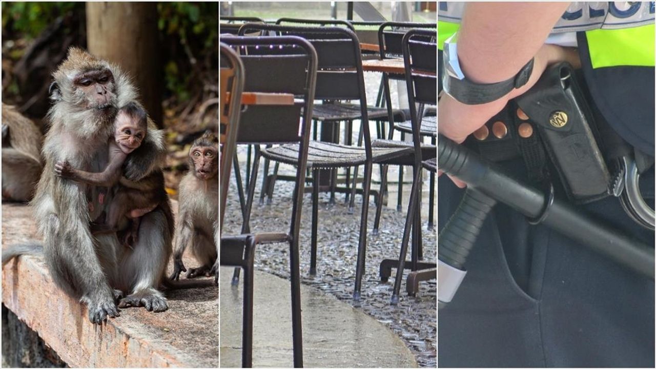 Ekim Ayının En Tuhaf Olayları