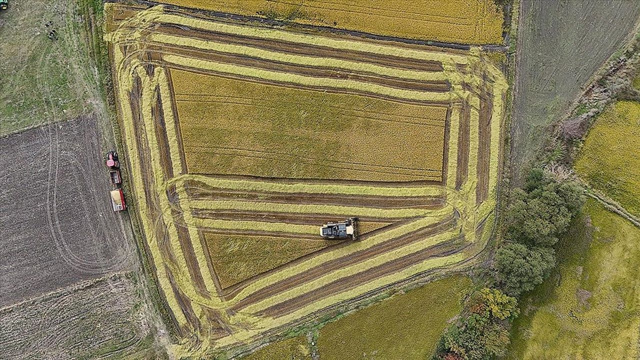 Hazine Faiz Destekli Tarım Kredilerinde 24 Ekim Düzenlemesi İptal Edildi