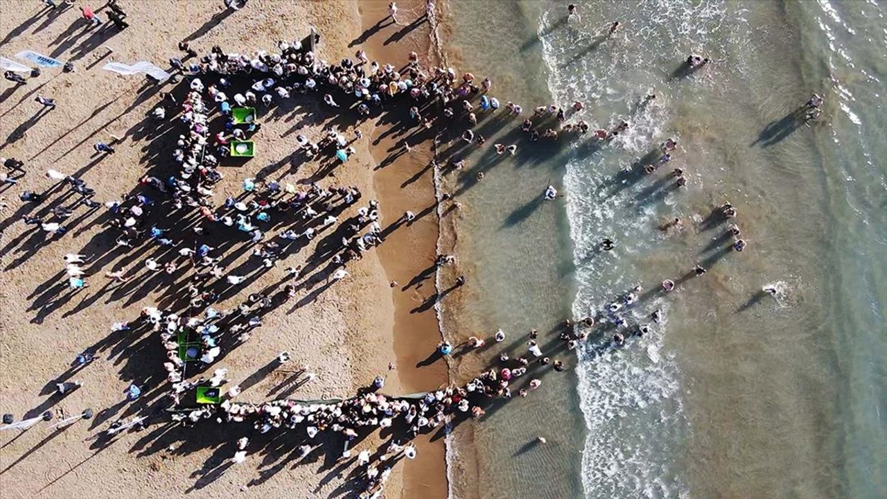 Muğla'da Tedavi Edilen Kaplumbağalar Denize Kavuştu