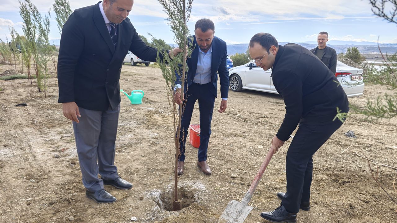 Sivas Gölova'ya yürüyüş yolu yapılıyor