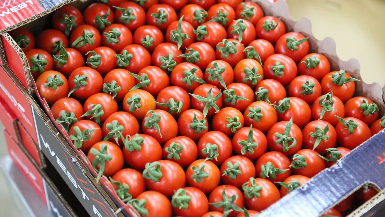 Antalya’dan Ukrayna’ya İhracatta Anti-Damping Endişesi