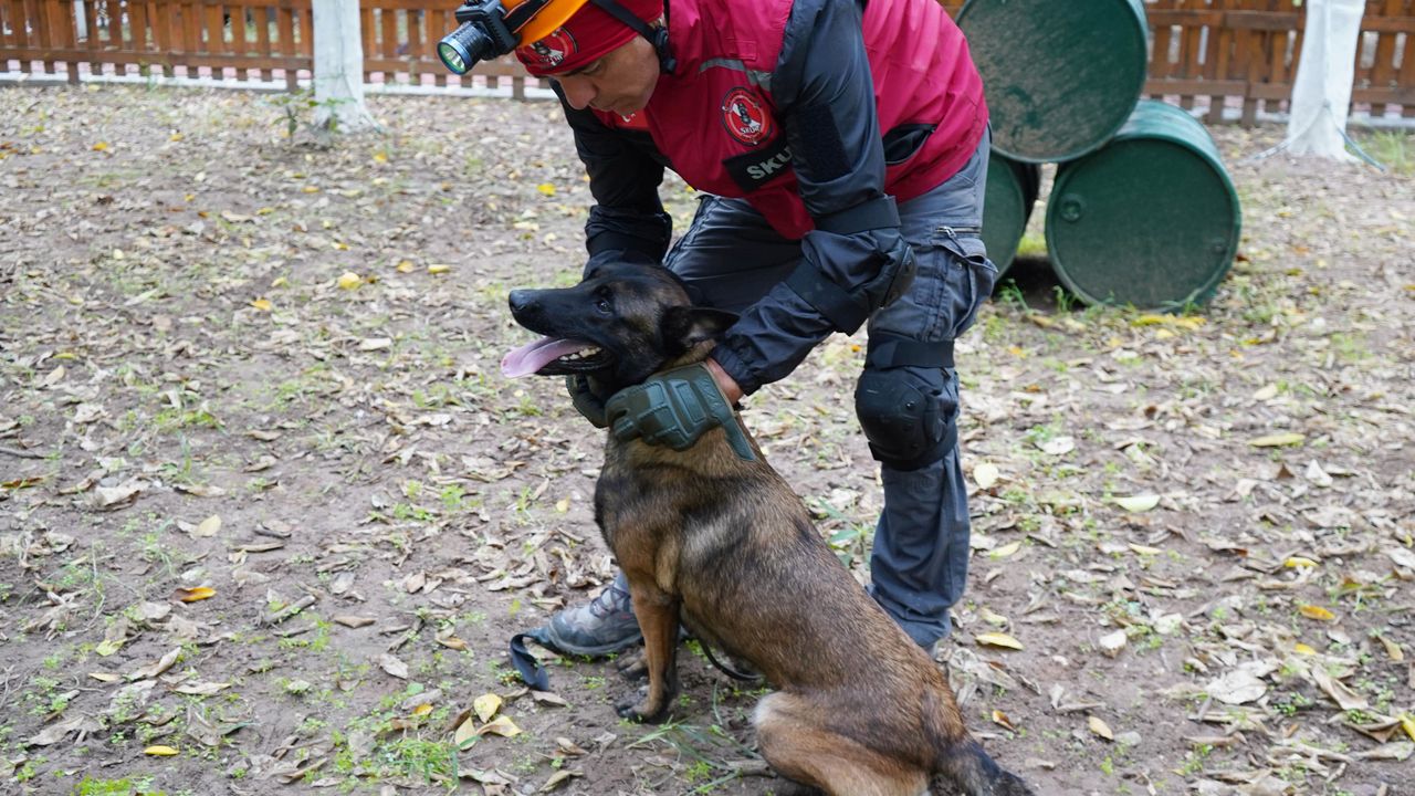 Antalya’nın İlk Enkaz Arama Köpeği ‘Tina’ Sertifikasını Aldı