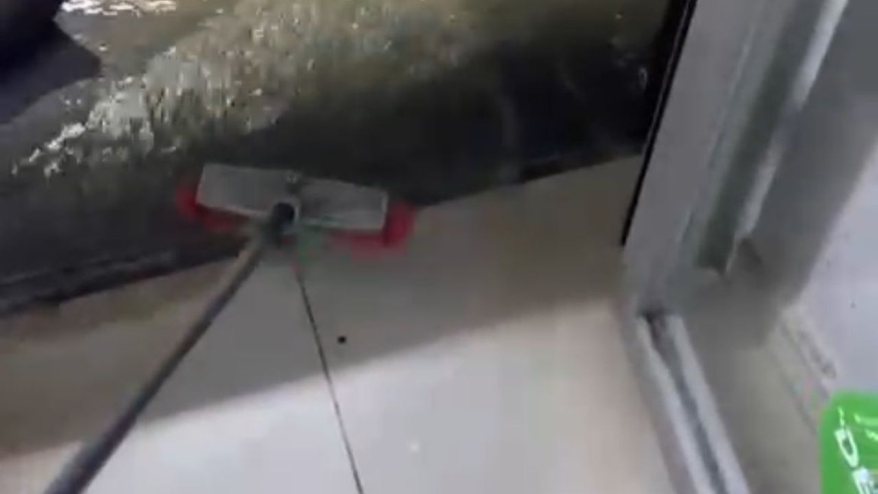 İzmir ve Manisa'da sağanak