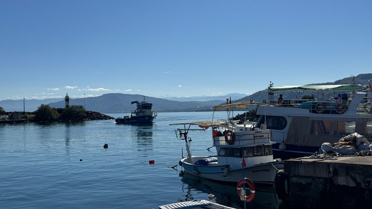 Karadeniz'de hamsi boyu küçüldü
