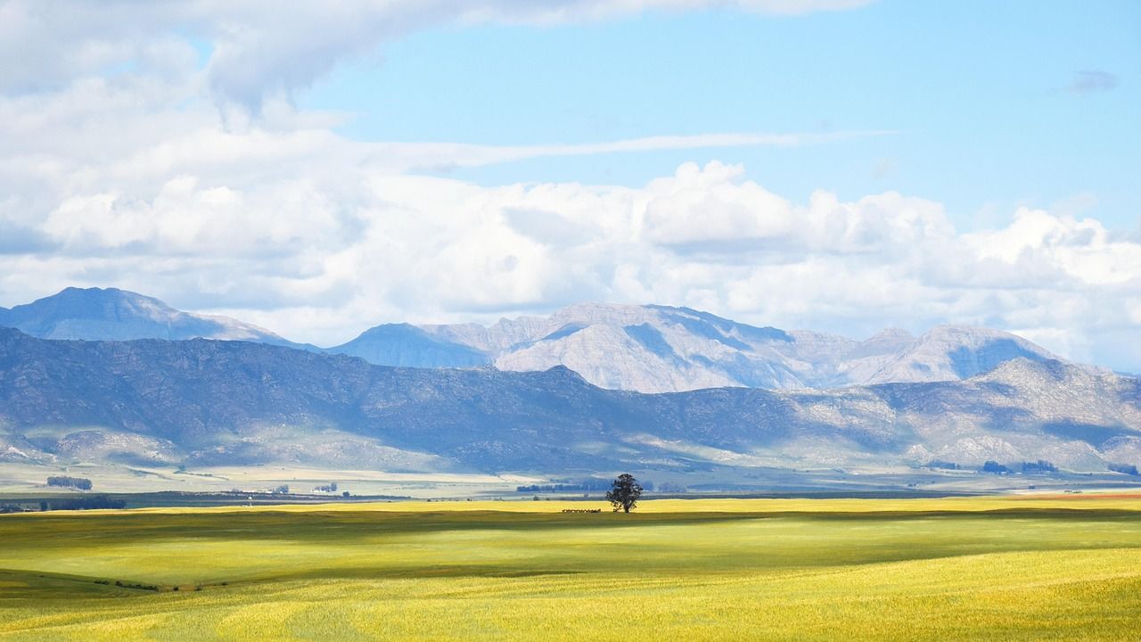 'Magmatik kayaçlardan oluşan zeminler deprem etkisini sınırlıyor'
