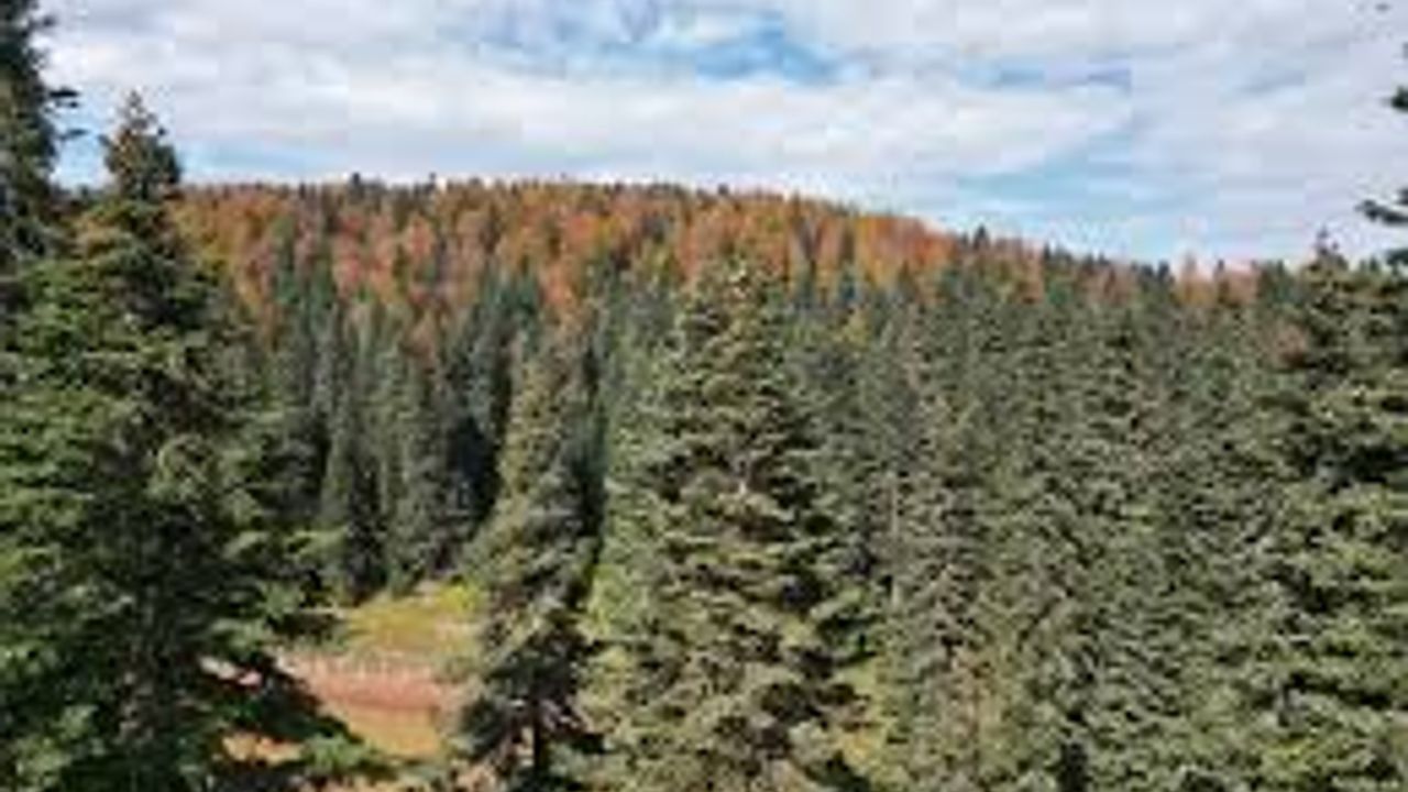 Bartın ve Karabük yaylalarında sonbahar bir başka!