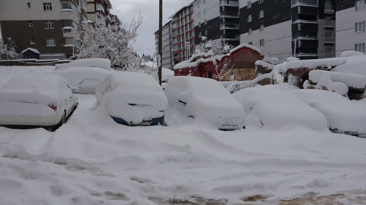 Bitlis'te kapanan 203 köy yolu açıldı