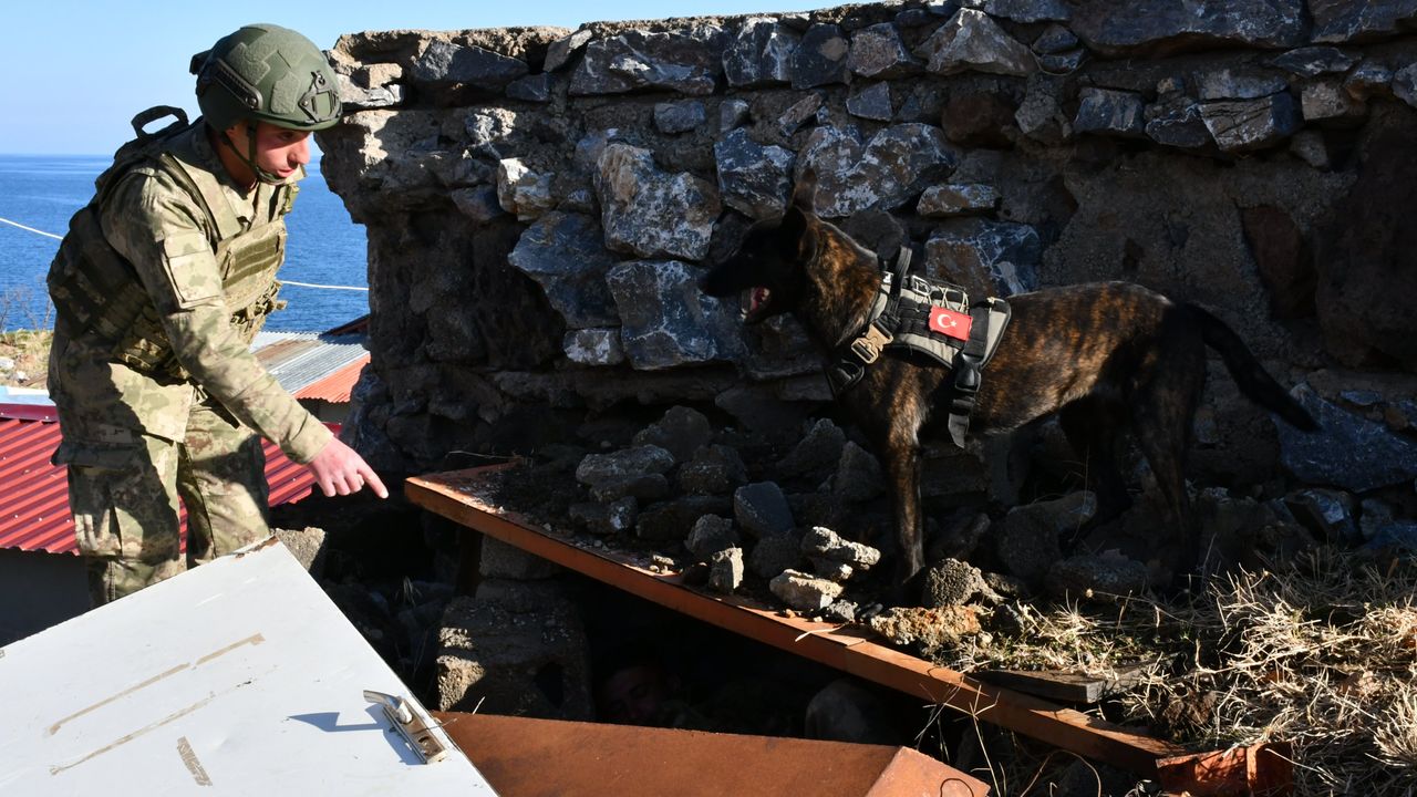 MSB Paylaştı: Bitlis’te Askeri Köpekli Timler Eğitimde