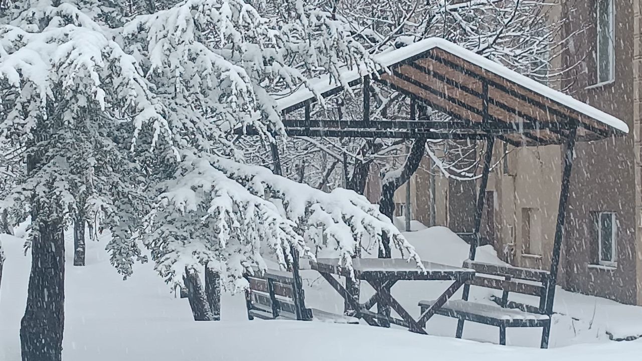 Bitlis’te Nisan Sürprizi: Yağmur Yerini Kara Bıraktı