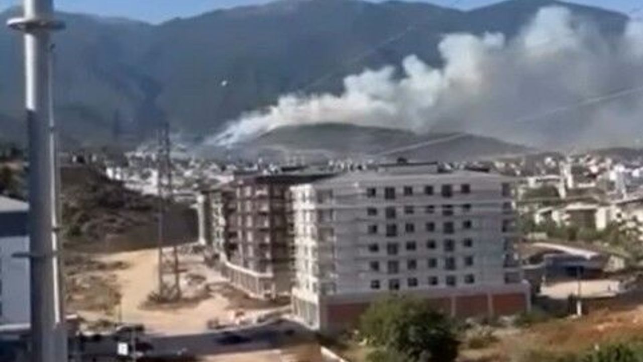 Bursa'da orman yangını