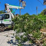 Ayvalık'da kuvvetli rüzgar teknelere vurdu!