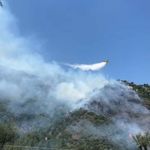 İzmir'de orman yangını