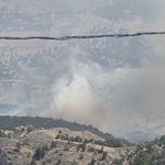 Adıyaman'da orman yangını