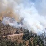 Balıkesir'de kamyondaki yangın ormana sıçradı!