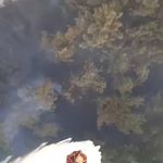 Balıkesir'deki orman yangını devam ediyor