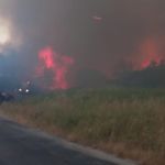 Çanakkale'de Otluk Alanda Yangın Ormana Sıçradı!