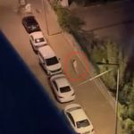 Diyarbakır'da yumruklu kavga!