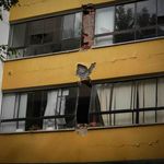 Kolombiya’da 7.4’lük Deprem: Can Kaybı 281’e Yükseldi