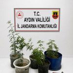 Kuşadası'nda uyuşturucu operasyonu: