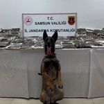 Samsun'da 132 kilo toz esrar ele geçirildİ