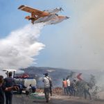 Orman yangınlarında 1 şüpheli tutuklandı