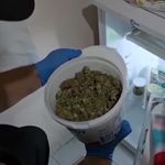 Edirne'de uyuşturucu imalathanelerine operasyon