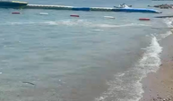 Antalya'nın Sahilleri Çöplüğe Döndü!