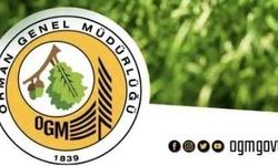 2024 YILI ANKARA ORMAN İŞLETME MÜDÜRLÜĞÜNE BAĞLI ÇUBUK VE AYDOS ORMAN İŞLETME ŞEFLİKLERİ MUHTELİF KOD NOLU YOLLARDA SANAT YAPISI YAPIM İŞİ