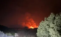 Hatay'da, sazlık 2 günde 2'nci kez yandı