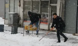 Van'da kar yağışı etkili oldu