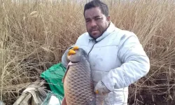  18 kilo ağırlığında sazan balığı yakalandı