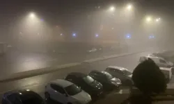 Gemi trafiği, sis nedeniyle askıya alındı