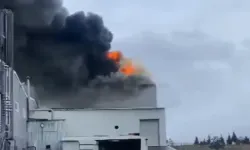  Edirne'de fabrika yangını