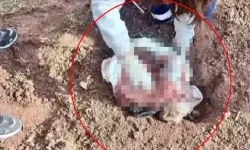 Poşet içerisinde yeni doğmuş kız bebek cesedi bulundu
