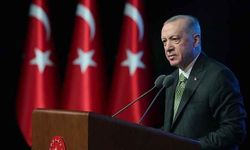 "Avrupa Birliği'ni sadece Türkiye kurtarabilir "
