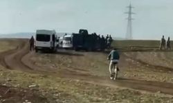Cani anne bebeğini iple boğup, araziye attı