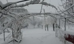 Bitlis'te kar yağışı devam ediyor