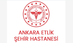 TIBBİ SARF MALZEME SATIN ALINACAKTIR