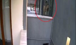 Ankara’da Doktor Skandalı: Sahiplenip Öldürdüğü İddia Edilen Köpek Sayısı 26’ya Ulaştı!