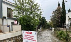 Sel suları denizi kahverengiye döndürdü