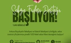 Kalecik'de çiftçiye sebze fidesi desteği