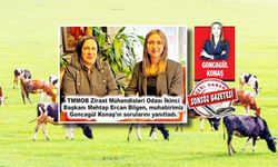 Meralar kayıtlarda var, arazide yok!