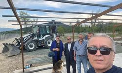 Çaycuma'da Sahipsiz Hayvanlar İçin 4.500 Kişilik Yeni Yuva
