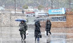 Mayısın ortasında lapa lapa kar yağdı!